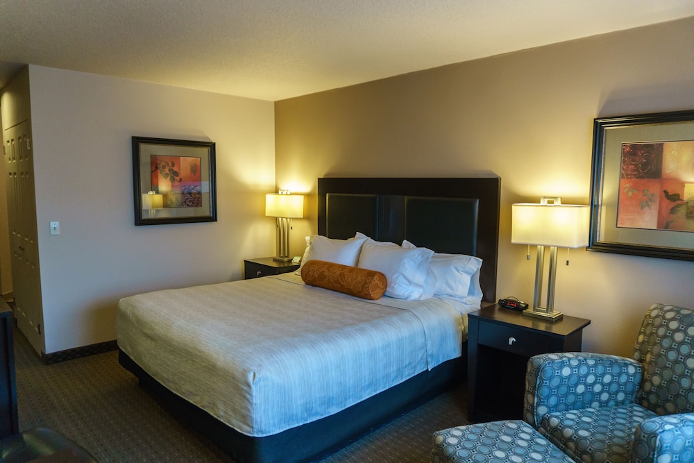 Suite, 1 King Bed photo 2