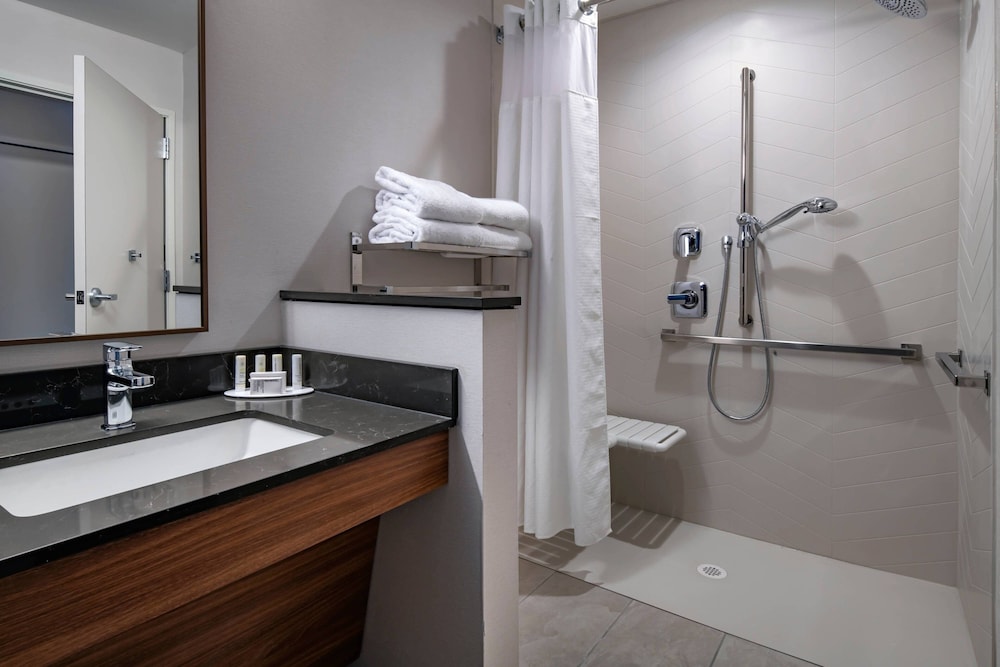 Room, 1 King Bed (Mobility Accessible, Roll-In Shower) - Photo 4