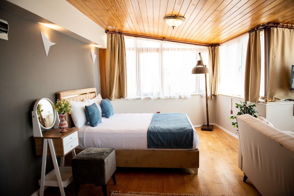 Panoramic Studio Suite photo 2