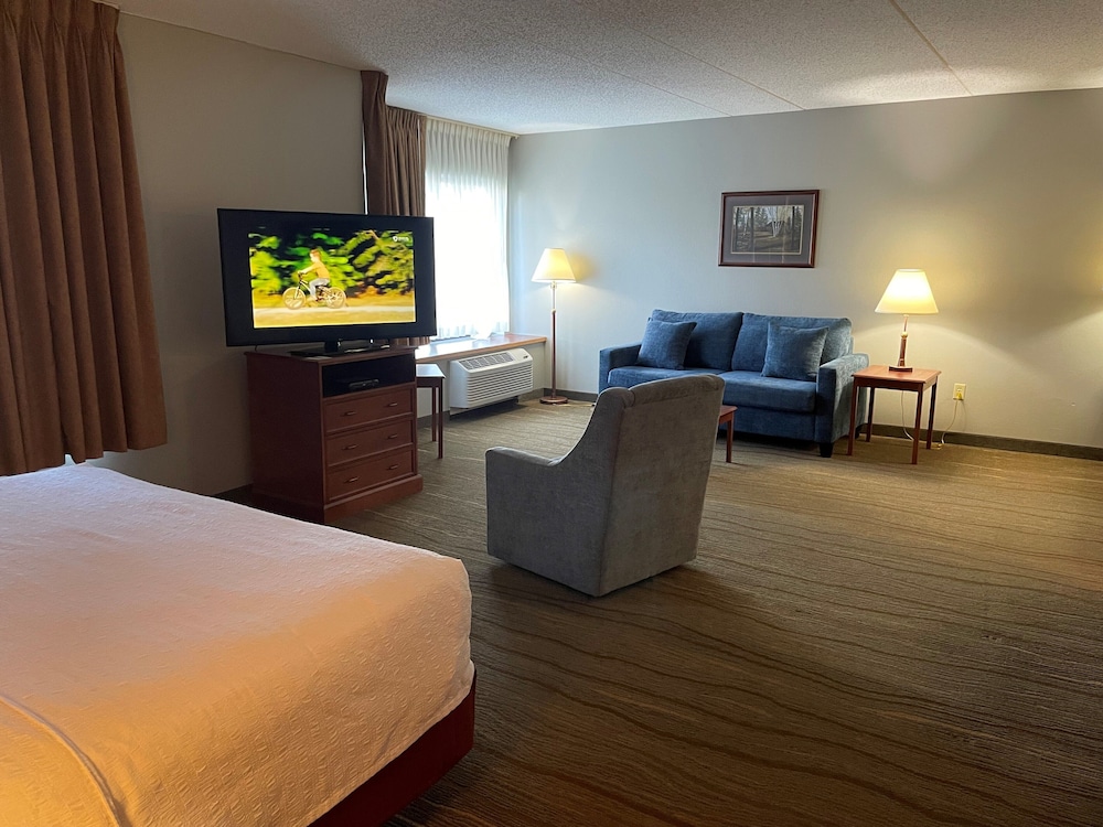 Studio, 1 King Bed, Hearing Accessible, Lake View (Mobility, Roll-In Shower)
