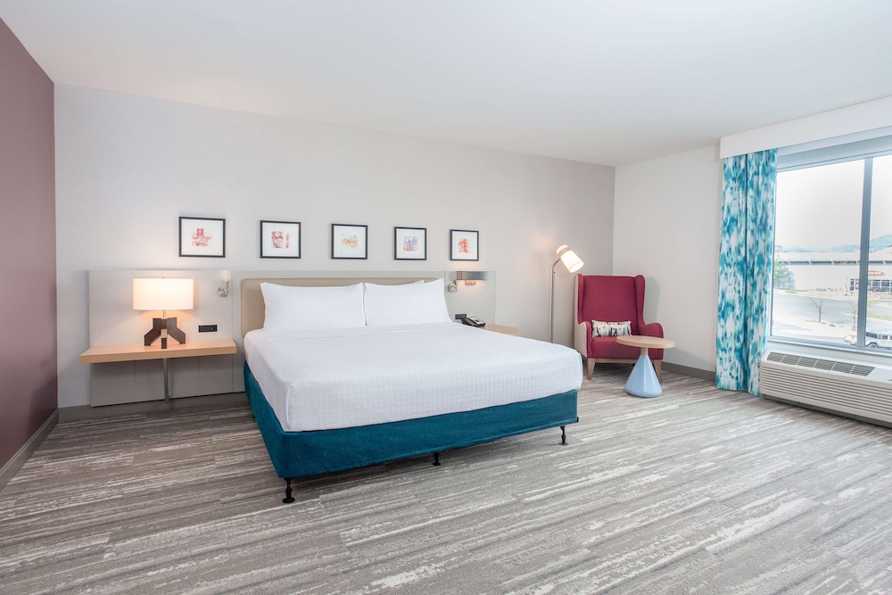 Room, 1 King Bed, Accessible (Roll-In Shower)