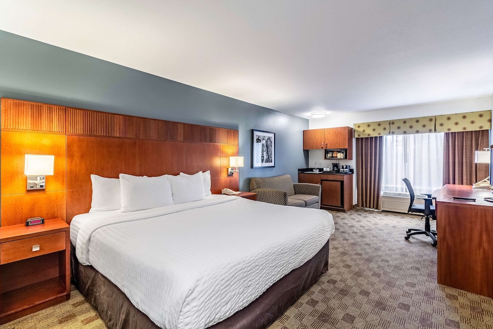 Room, 1 King Bed, Non Smoking