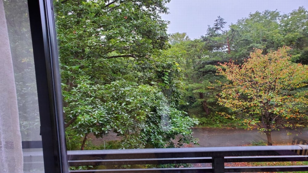 [Japanese Room with 8 + 8 Tatami Mats] Two Rooms, Non-Smoking photo 3
