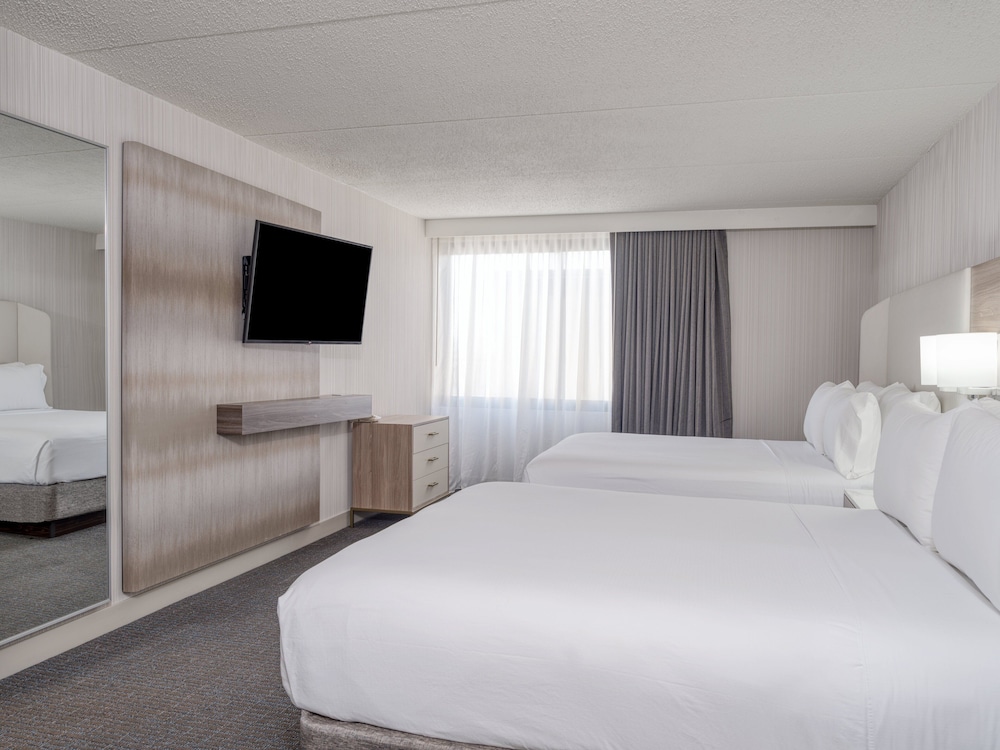 Suite, 1 Bedroom - Photo 4
