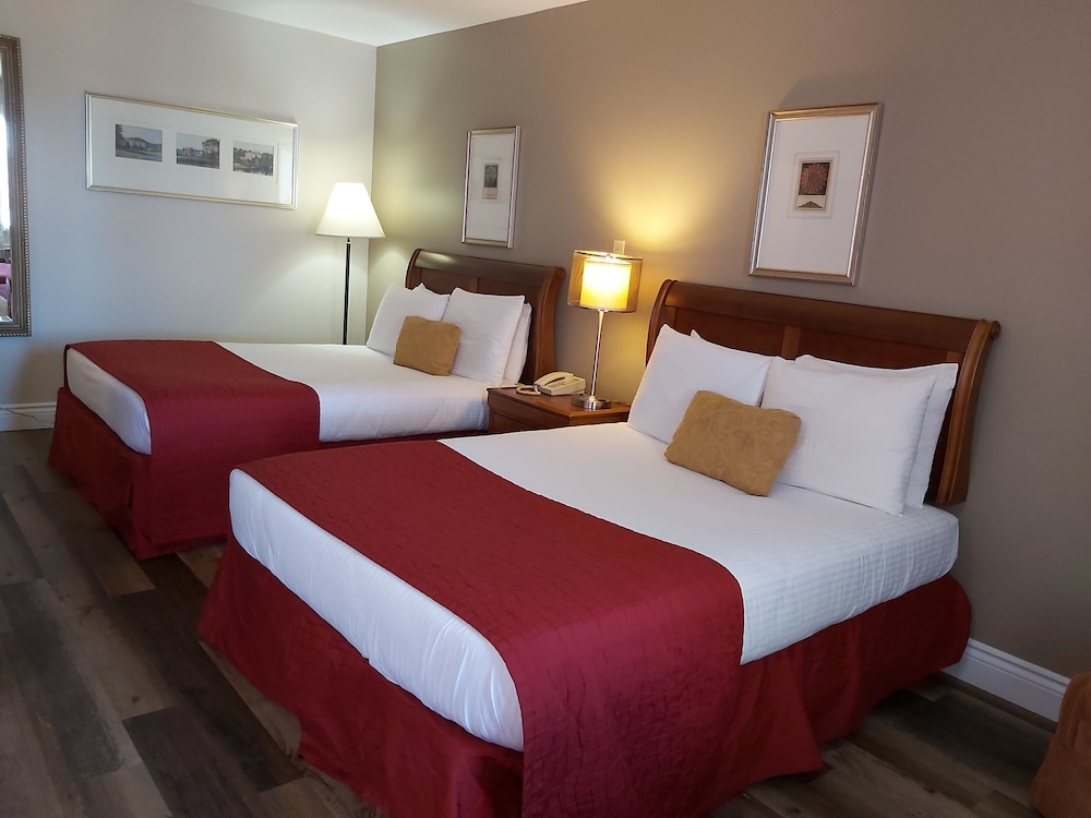 Standard Room, 2 Double Beds, Kitchenette photo 3