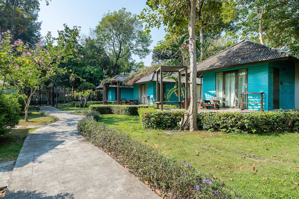 Deluxe cottage - Photo 4