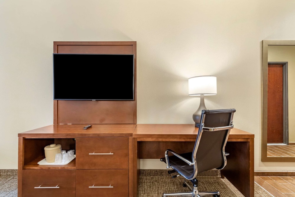 Suite, 1 King Bed, Accessible, Non Smoking with Sofabed - Photo 3