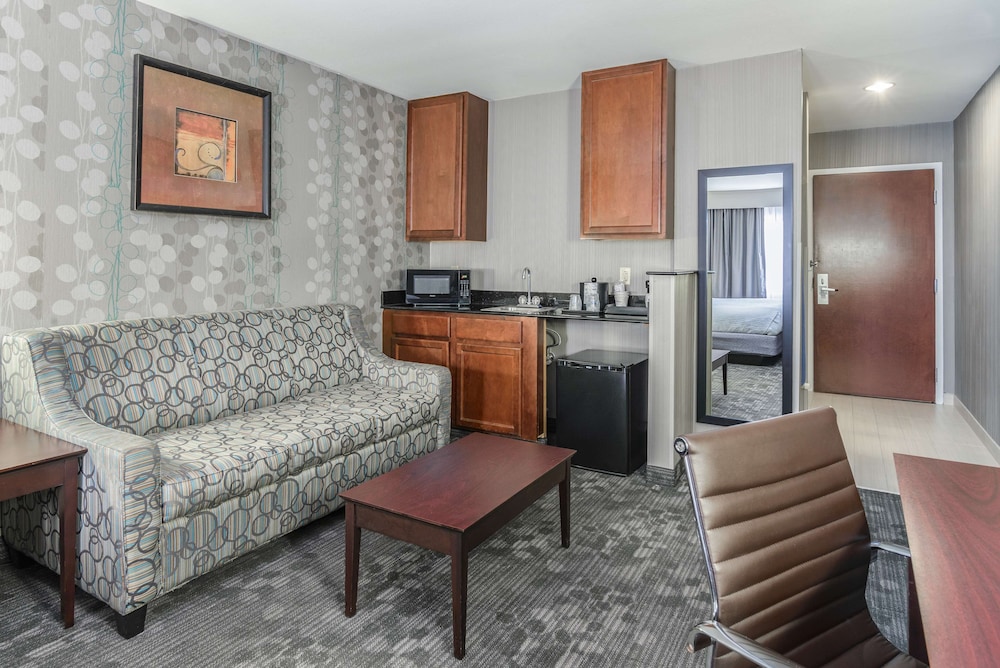 Standard Room, 1 King Bed, Non Smoking, Refrigerator & Microwave (with Sofabed) - Photo 1