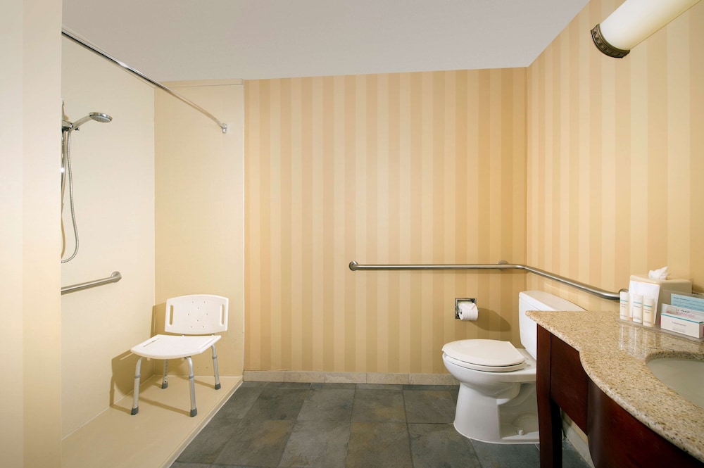 Suite, Accessible, Non Smoking (Roll-in Shower) - Photo 3