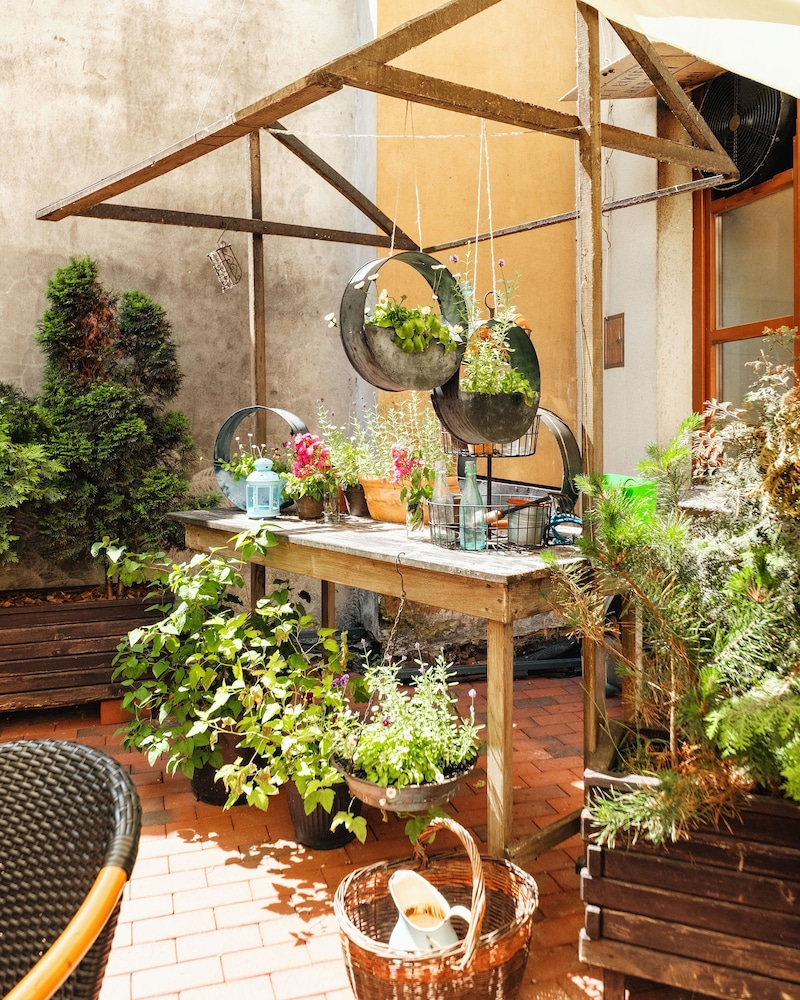 Standard Studio - Photo 3