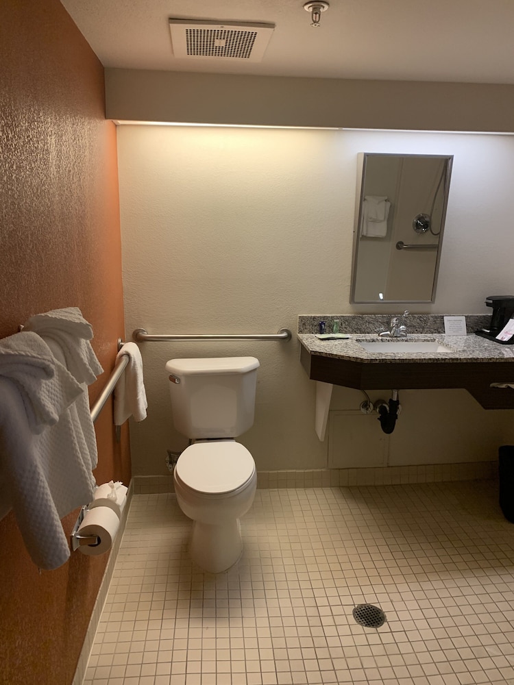 Standard Room, 1 King Bed, Accessible, Non Smoking - Photo 6
