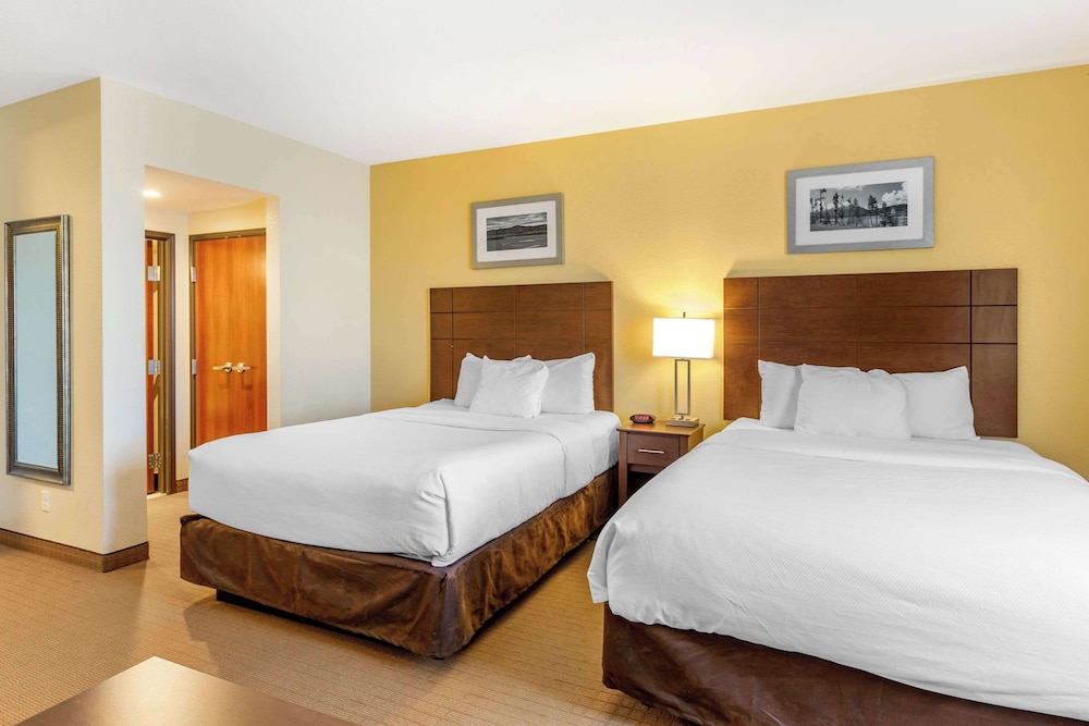 Suite, Multiple Beds, Non Smoking (Efficiency) - Photo 3