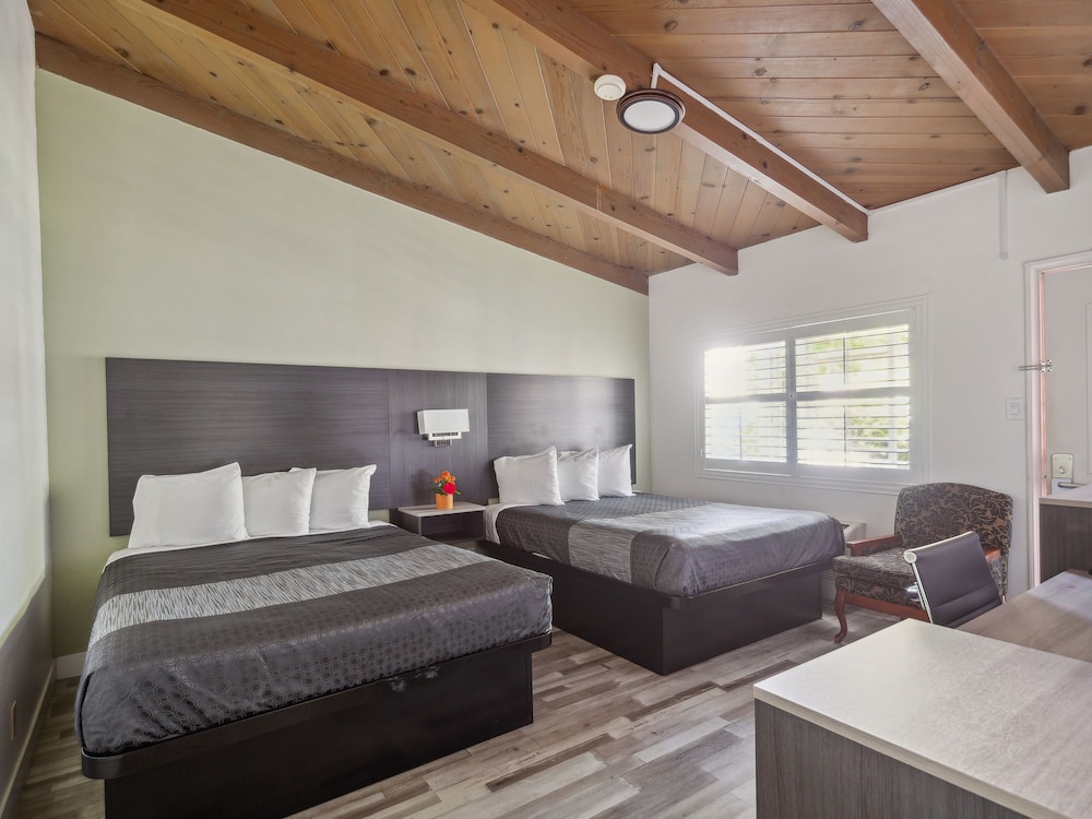 Suite, 2 Bedrooms photo 3