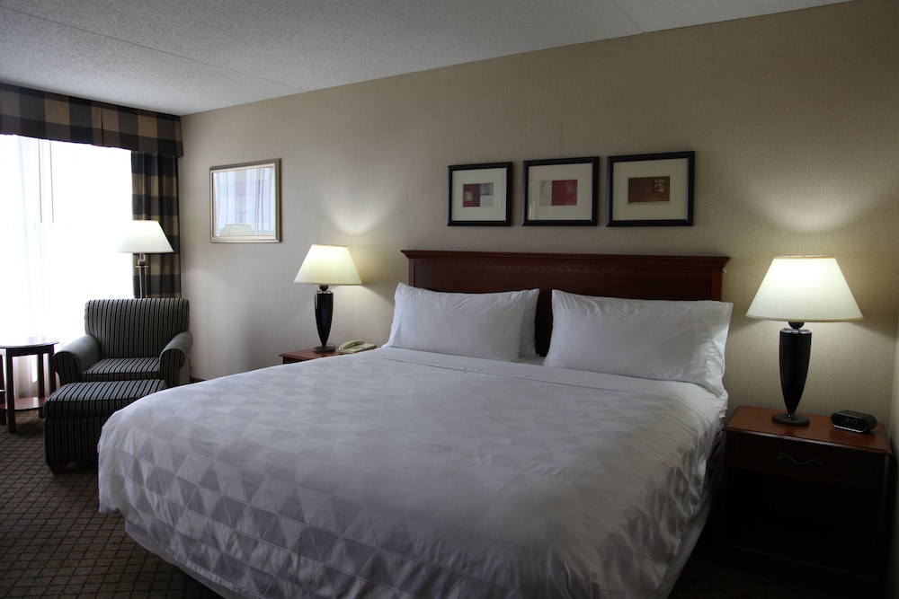 Standard Room, 1 King Bed photo 3