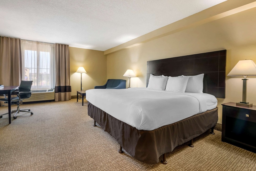Standard Room, 1 King Bed, Non Smoking