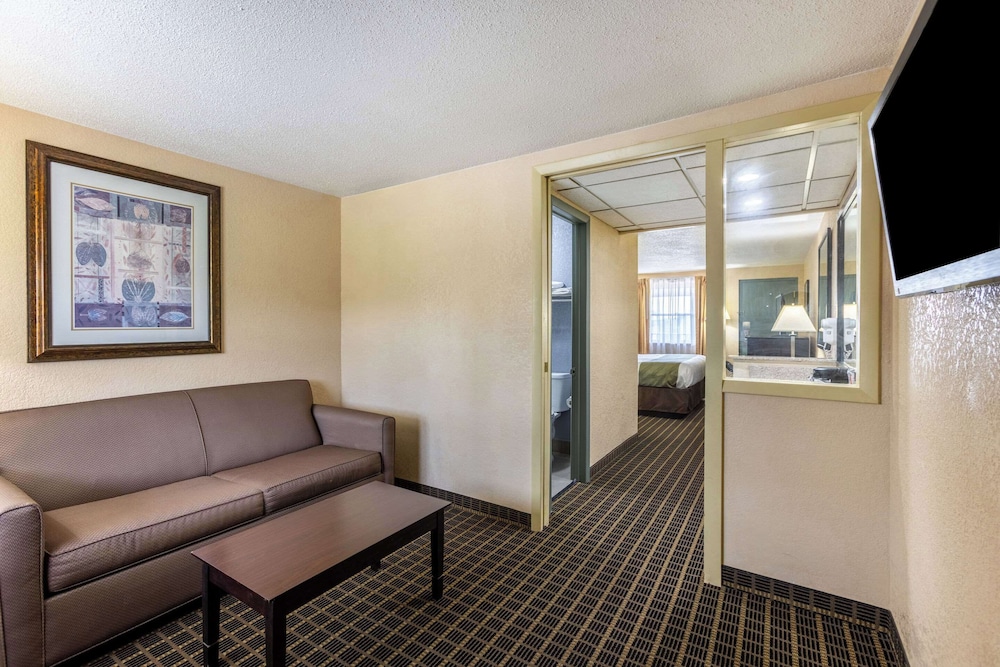 Suite, 1 King Bed with Sofa Bed, Non Smoking, Not Pet Friendly - Photo 4