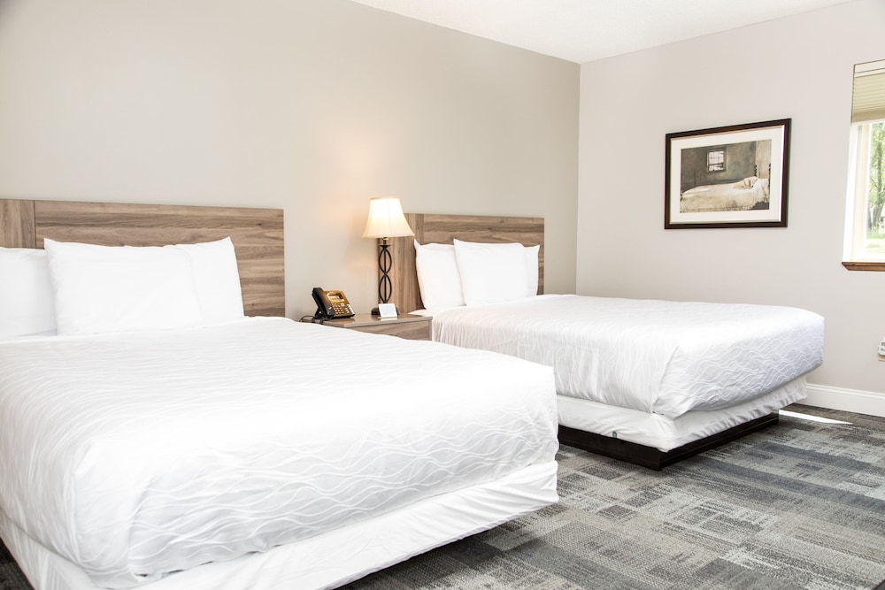 Basic Double Room, 2 Queen Beds