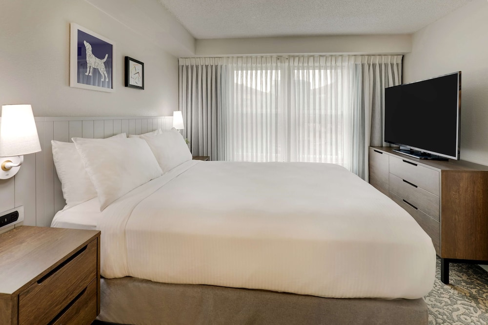 Room, 1 King Bed with Sofa bed, Accessible photo 1