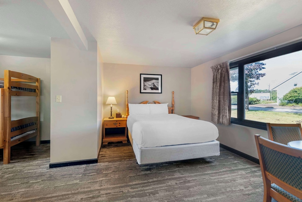 Standard Room, Multiple Beds, Non Smoking - Photo 1