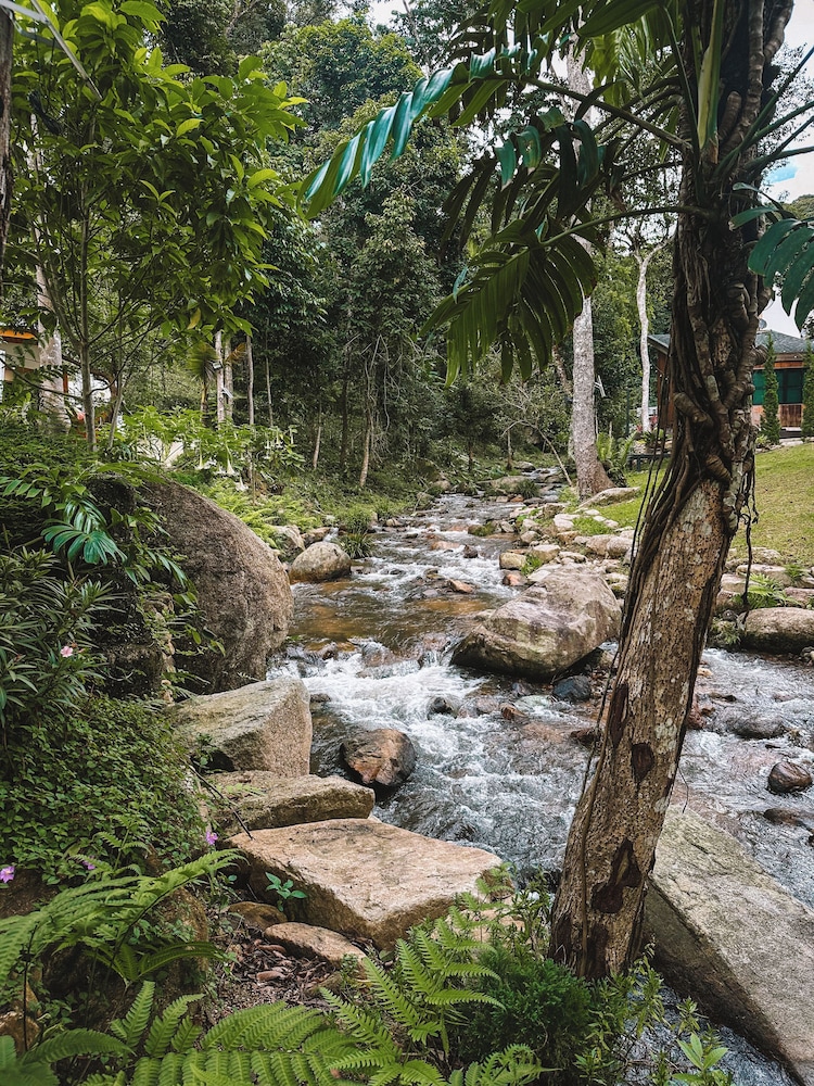 V2 : Villa Creek View - Photo 5