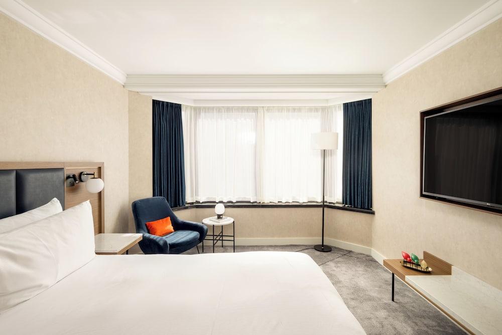 Suite, 1 King Bed