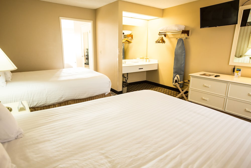 Family Suite - Photo 1