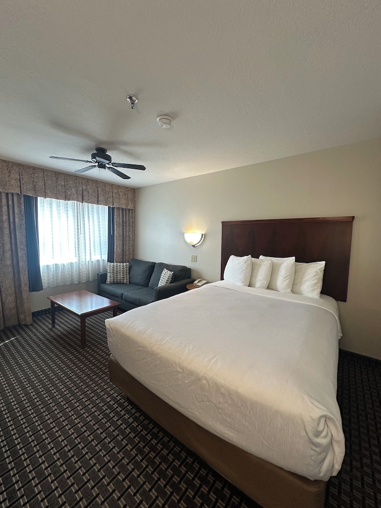 Basic Single Room photo 3