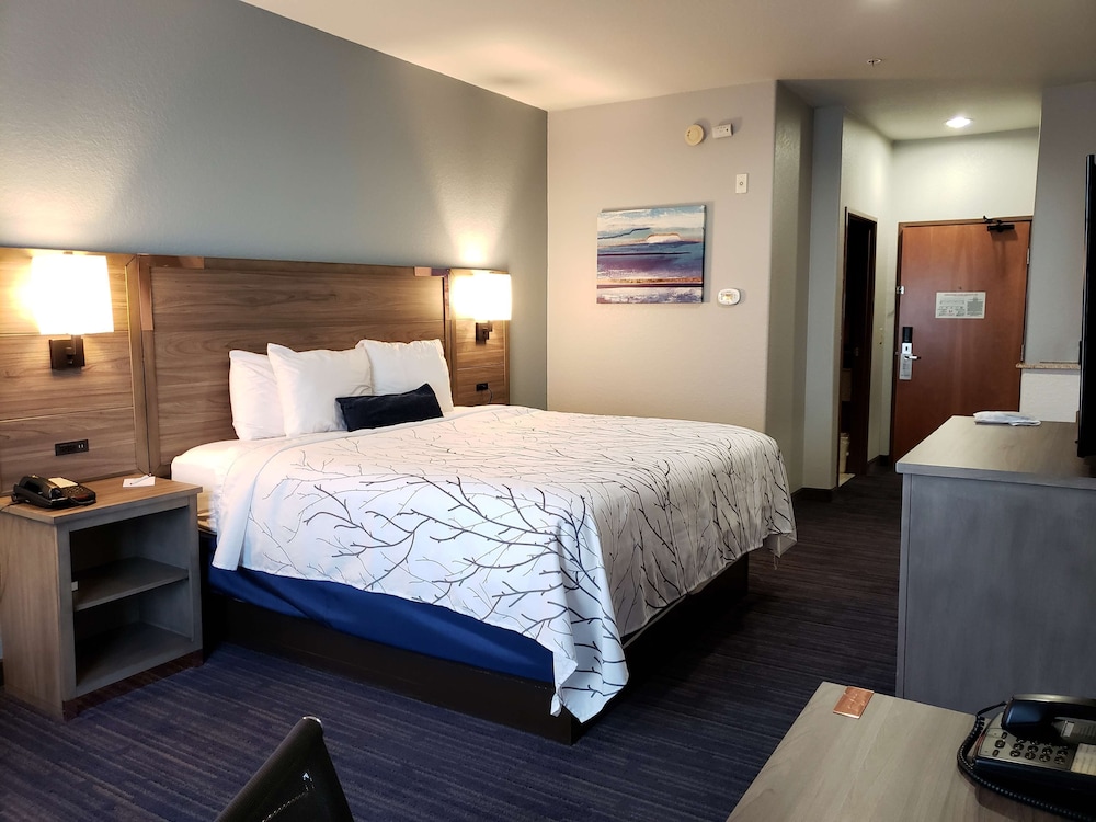 Suite, 1 King Bed, Non Smoking, Refrigerator & Microwave