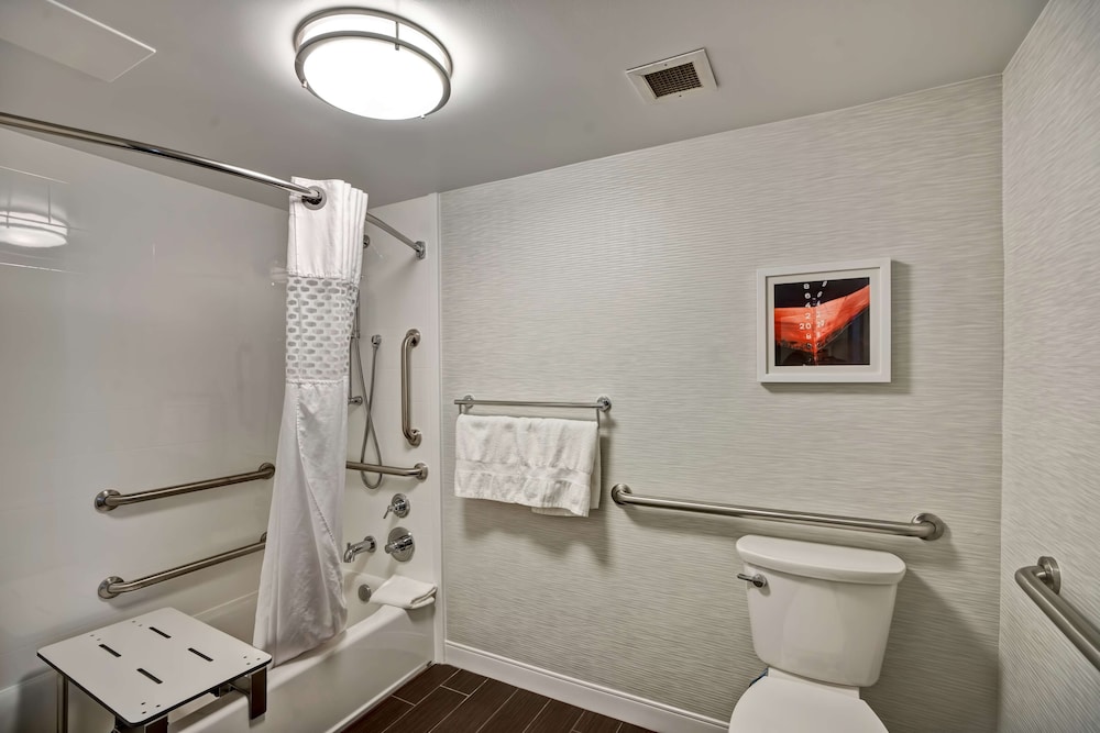 Room, 1 King Bed, Accessible, Bathtub (Refrigerator & Microwave) photo 3