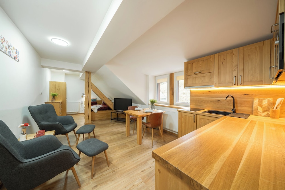 Studio Apartment with Bath photo 2