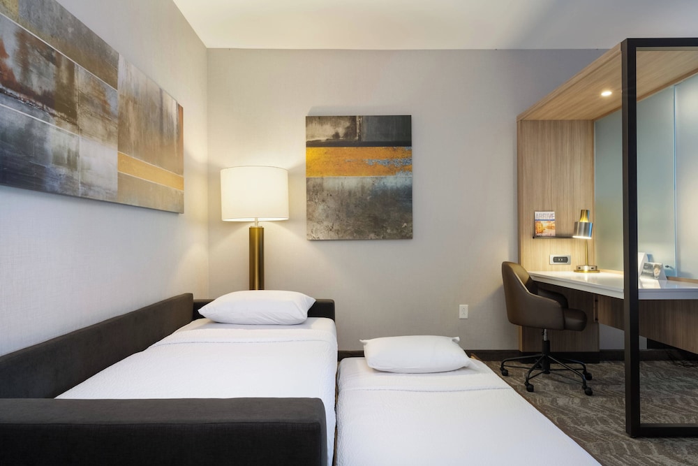 SpringHill Suites by Marriott Chattanooga South/Ringgold, Billede 6