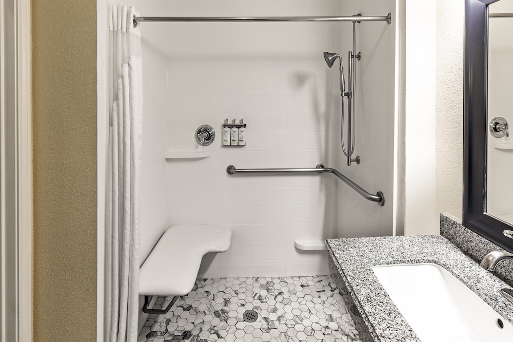 Room, 1 King Bed, Accessible (Communications, Mobil, Roll-In Shower) - Photo 4