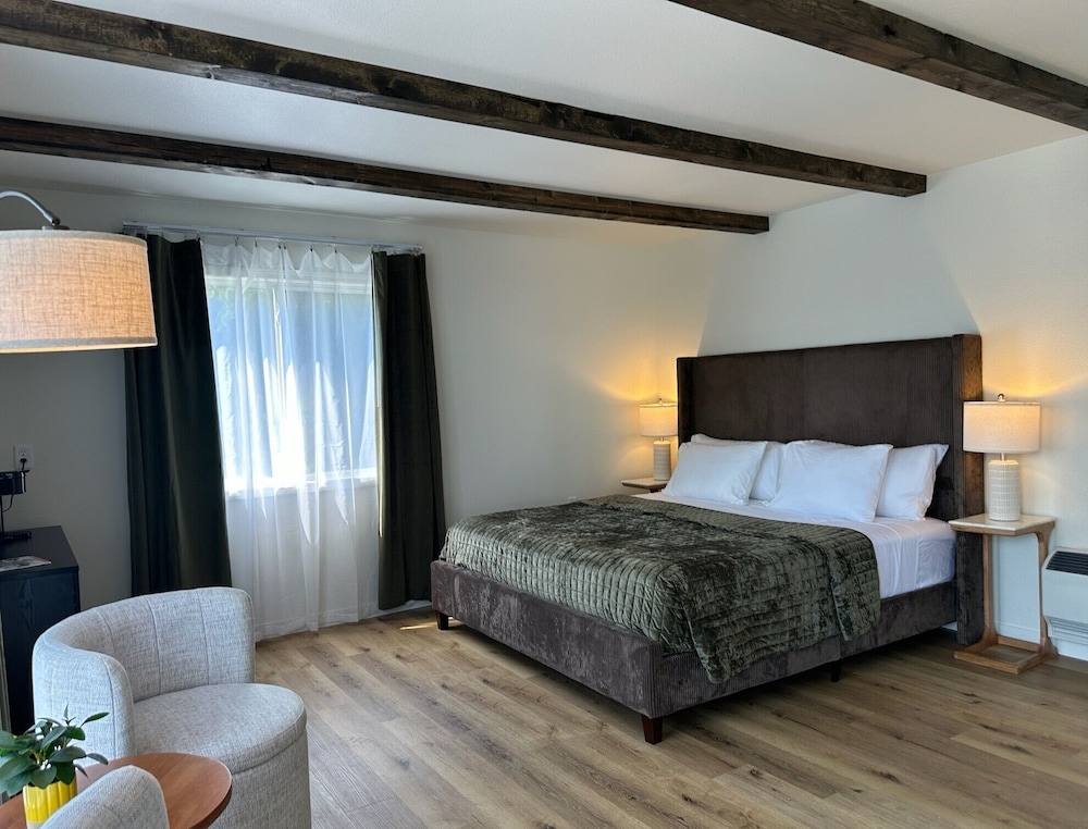 Room, 1 King Bed, Non Smoking, Air conditioning