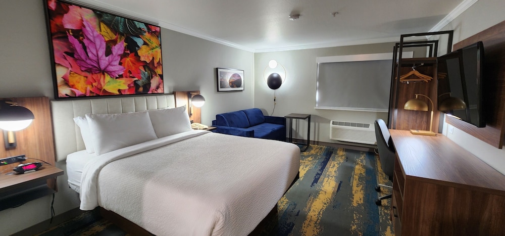 Deluxe Room, 1 Queen Bed, Non Smoking (Efficiency) - Photo 9
