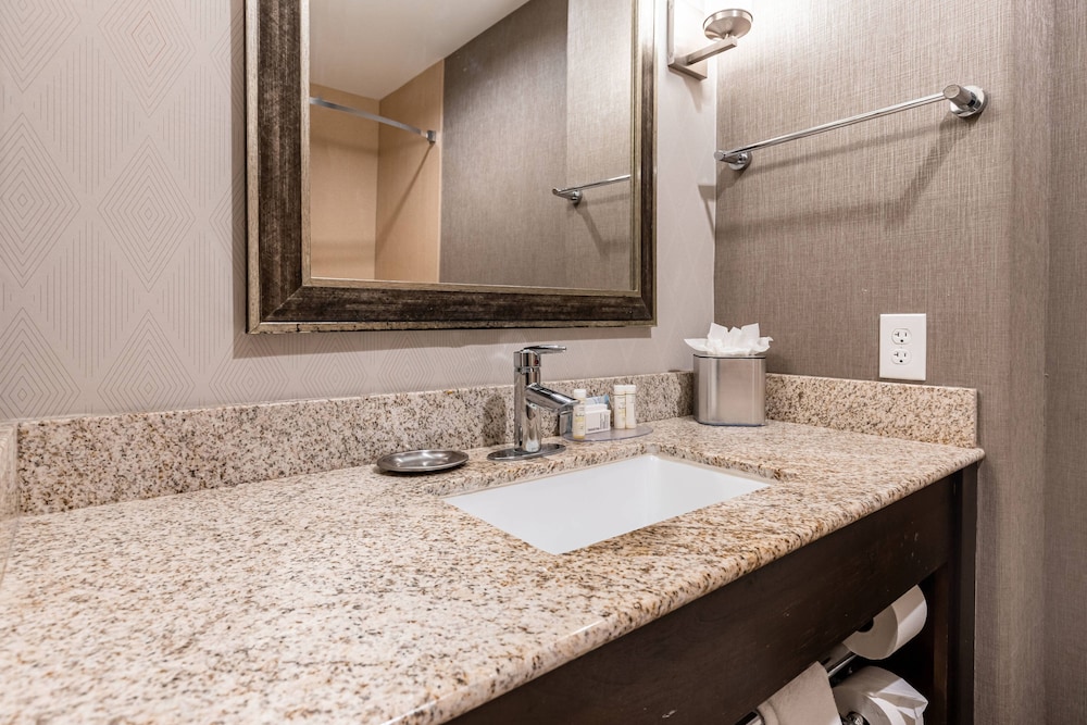 Suite, 1 Bedroom - Photo 5