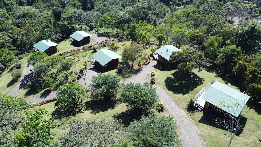 Panoramic Cabin, 1 Bedroom, Private Bathroom, Mountain View photo 2