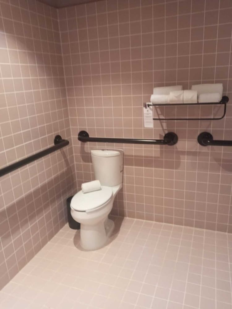Room, 1 King Bed (Roll-In Shower) - Photo 2