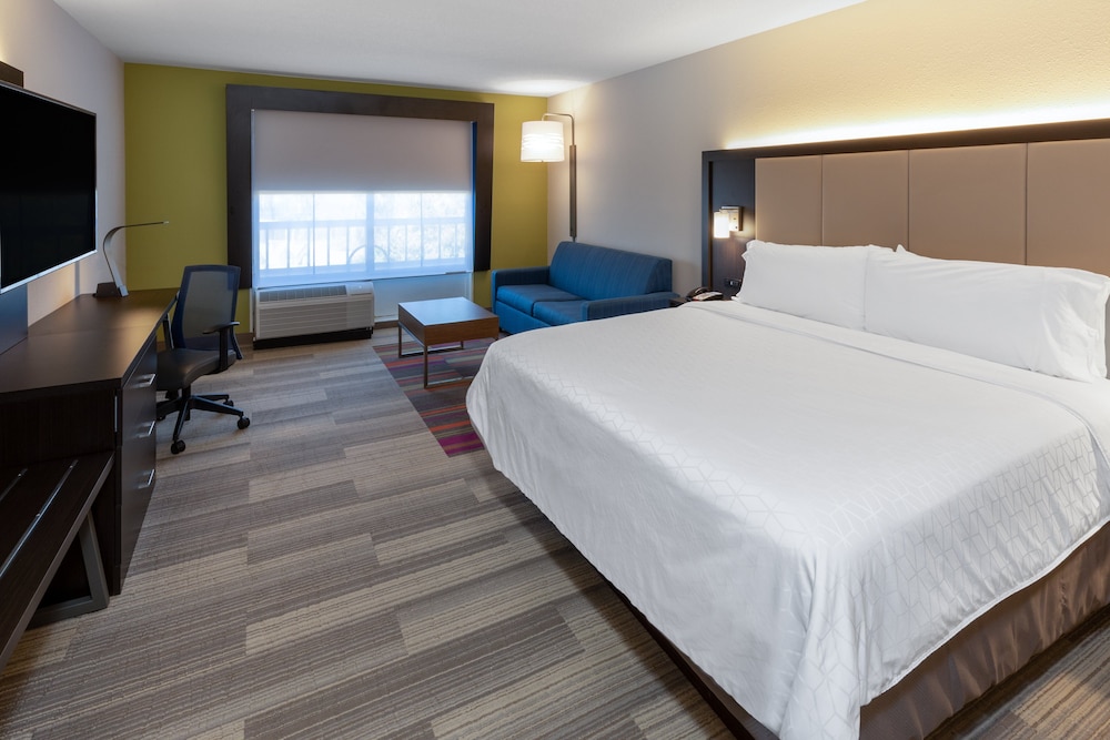 Suite, 1 King Bed with Sofa bed