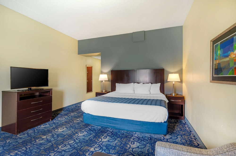 Standard Room, 1 King Bed, Accessible, Non Smoking - Photo 5