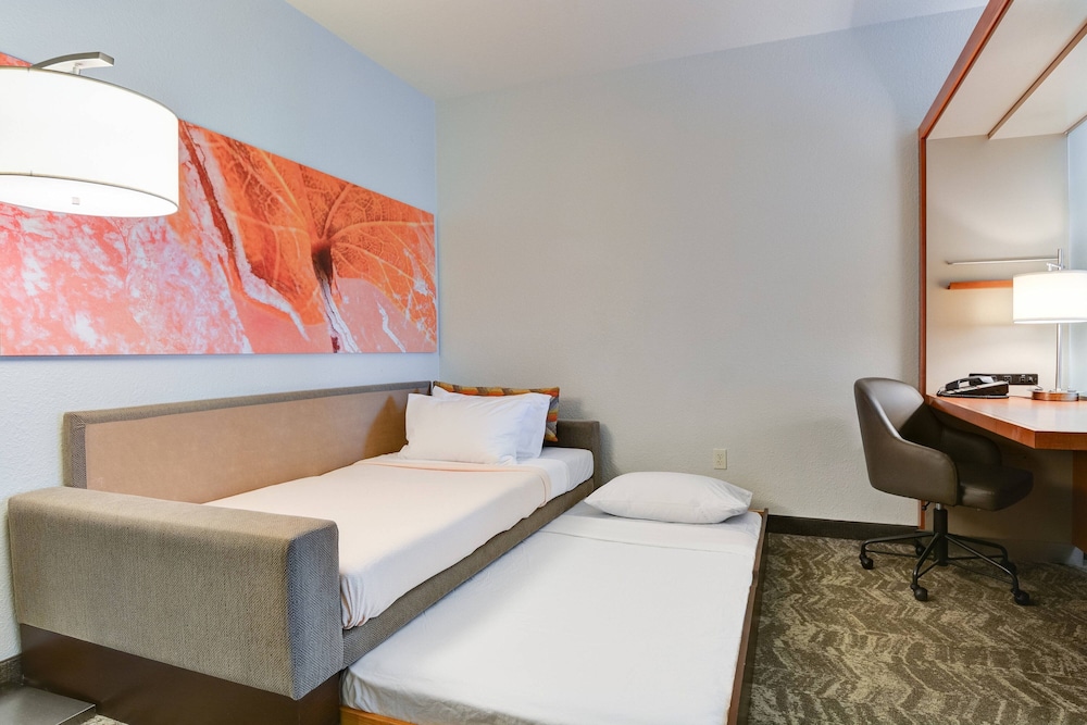 SpringHill Suites Shreveport-Bossier City/Louisiana Downs, 写真 7