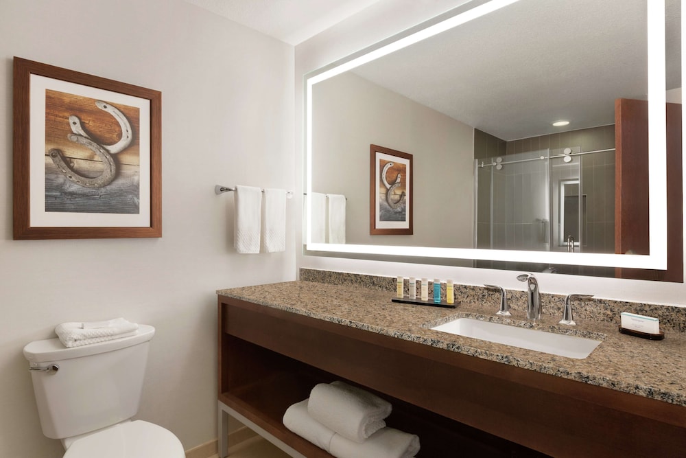 Embassy Suites Dallas - DFW Airport North, Foto 4