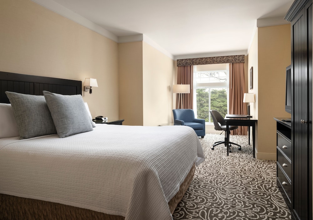 Signature Room, 1 King Bed