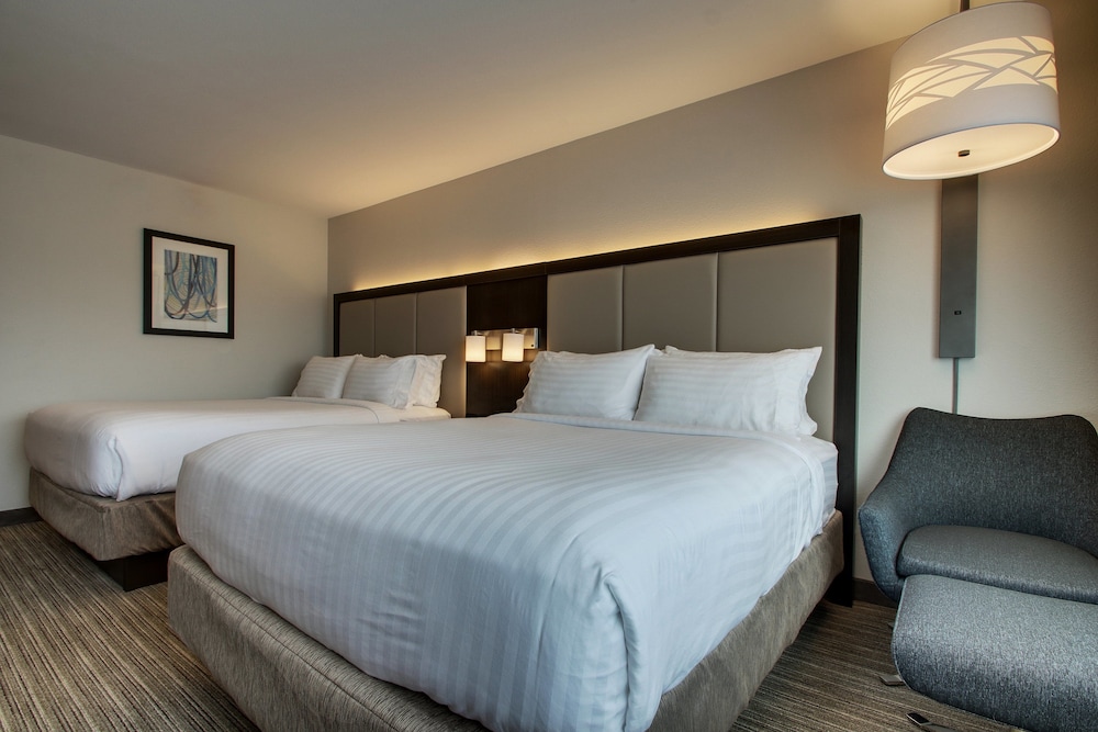 Suite, 1 Bedroom photo 1