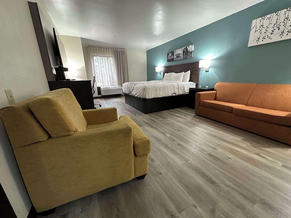 Business Suite, 1 King Bed, Non Smoking (Efficiency) - Photo 2
