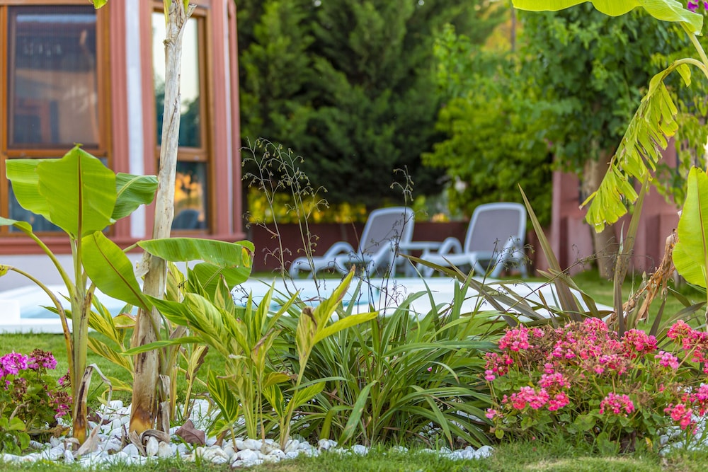 Deluxe Villa , Private Pool