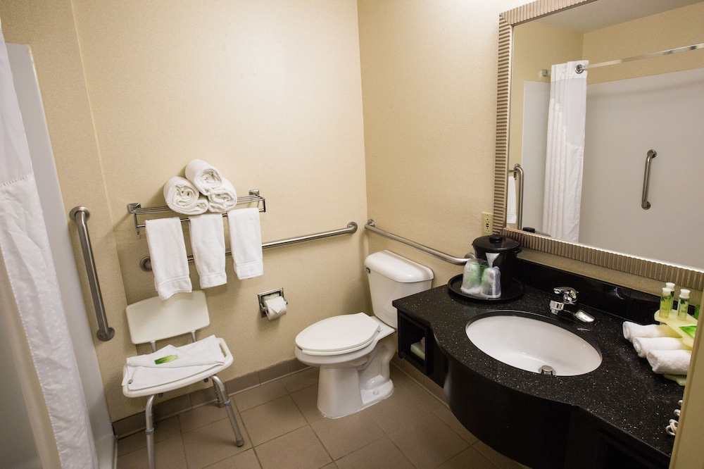 Suite, 1 King Bed, Accessible (Accessible Tub) - Photo 4