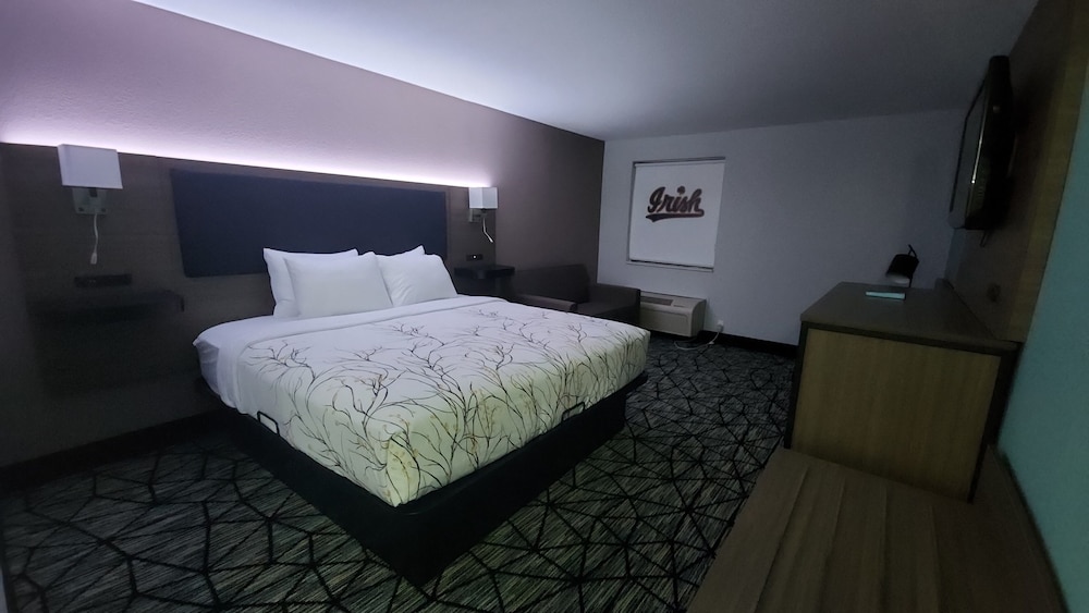 Suite, 1 King Bed, Non Smoking - Photo 1