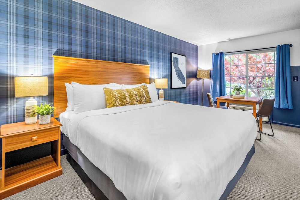 Deluxe Room, 1 King Bed photo 2