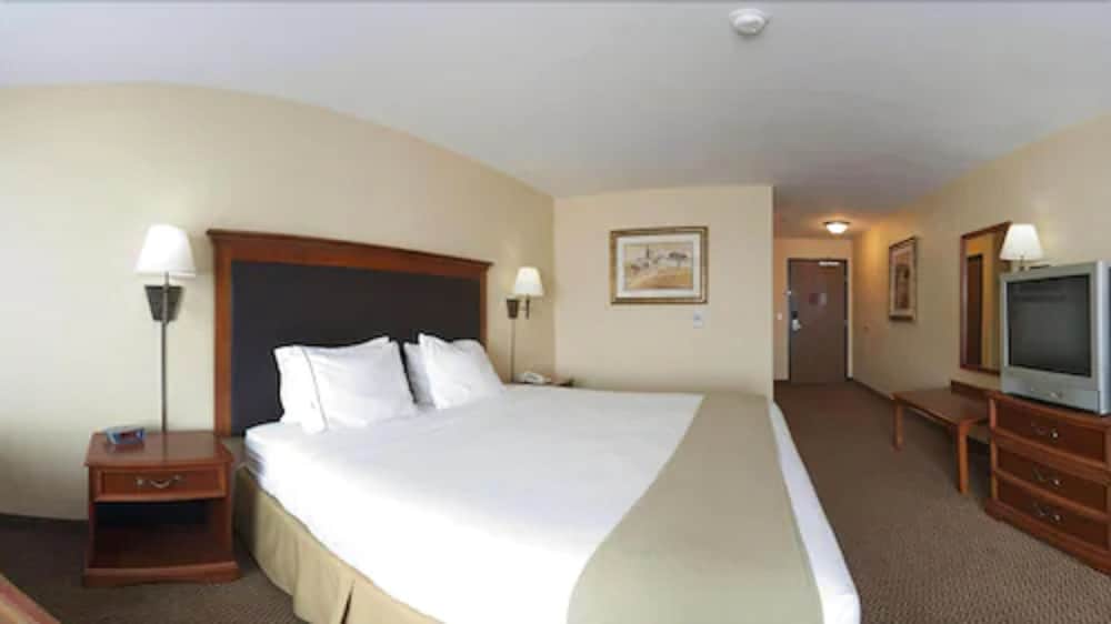 Suite, 1 King Bed - Photo 3