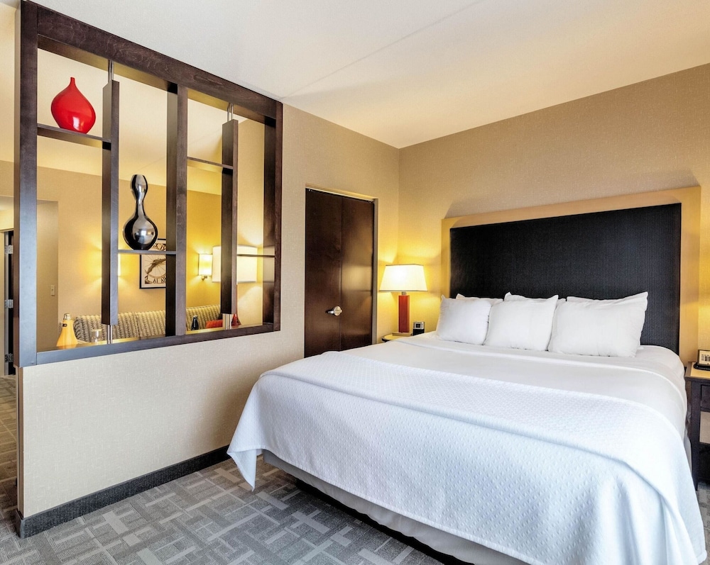 Suite, 1 King Bed with Sofa bed, Non Smoking photo 2